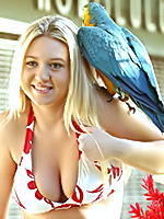 Go to Parrot Head Free Pictures Gallerie