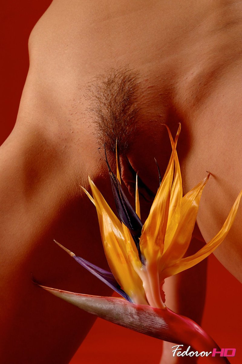 Flower » Fedorov HD Free Nude Pictures