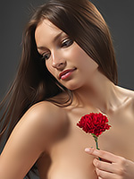 Go to Red Carnation Free Pictures Gallerie