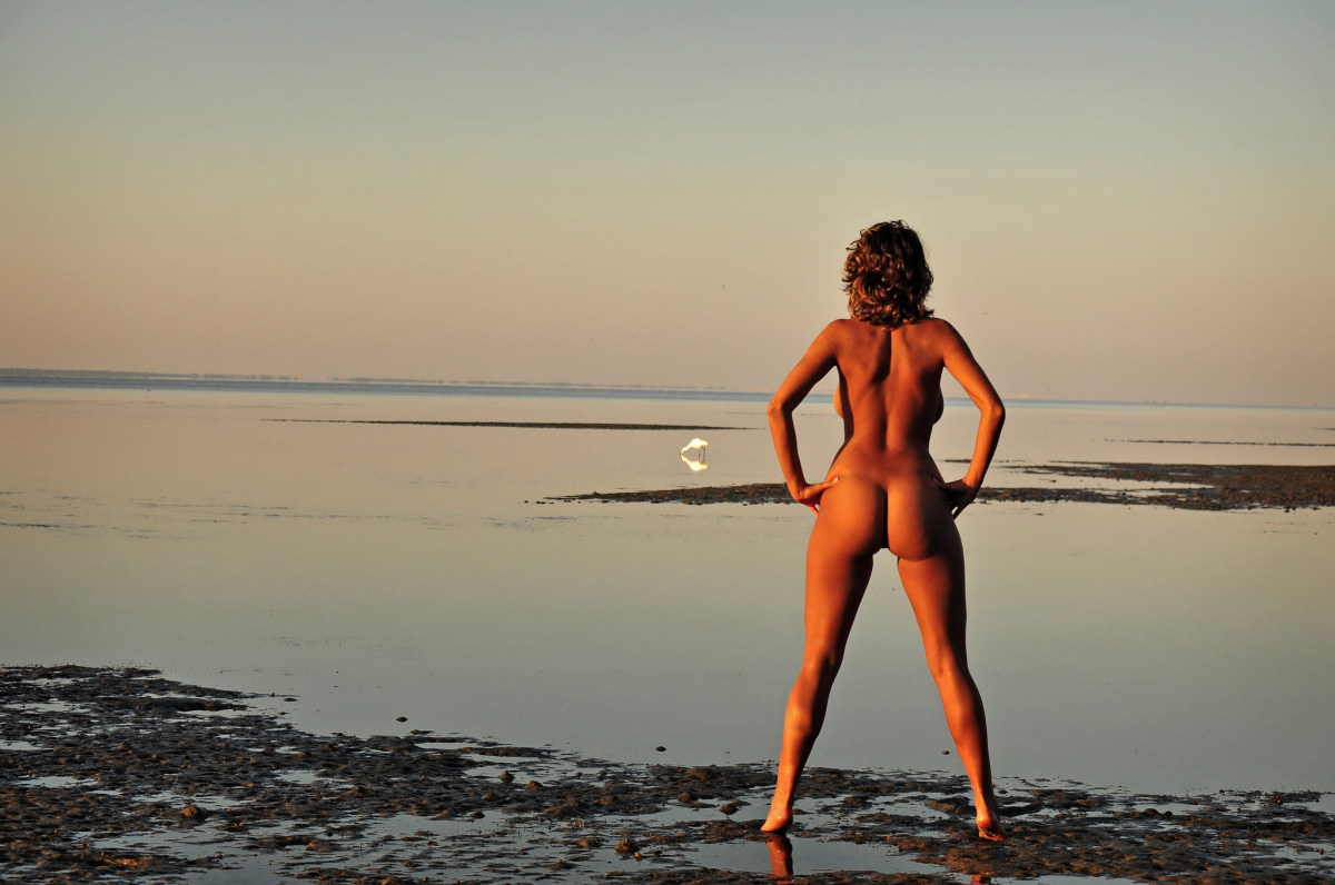 Sunset beach nude - 🧡 Elizabeth Marxs' Sunset Strip - Sexy Gallery Fu...